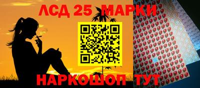 гидропоника Берёзовский