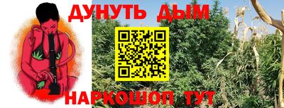 гидропоника Берёзовский