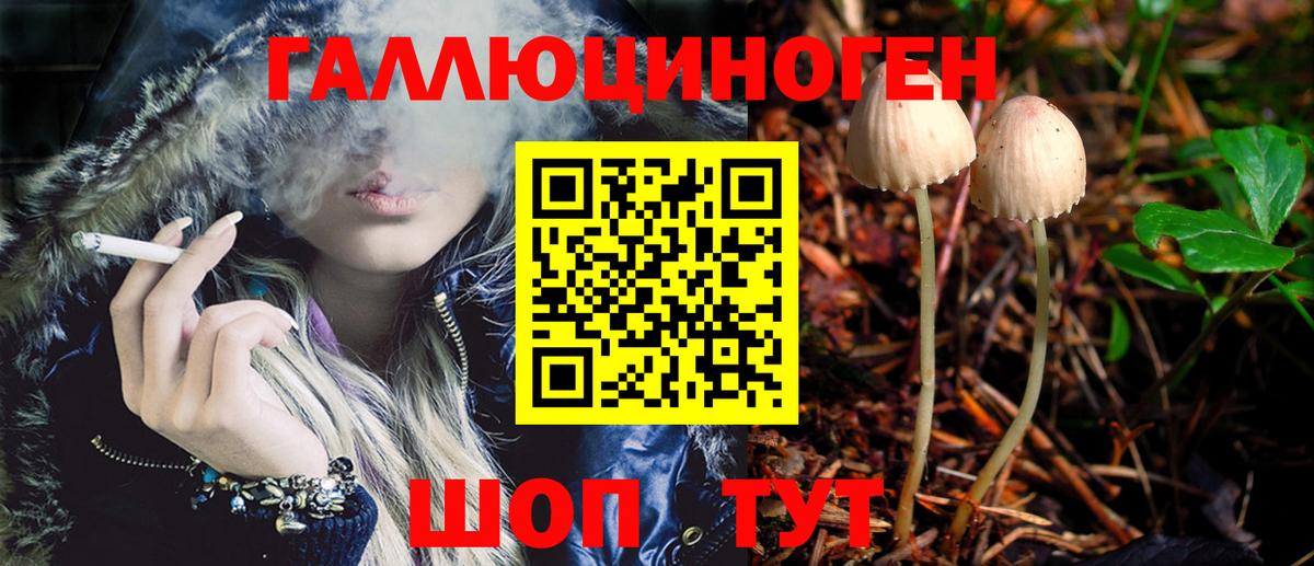 Псилоцибиновые грибы Psilocybine cubensis Воткинск