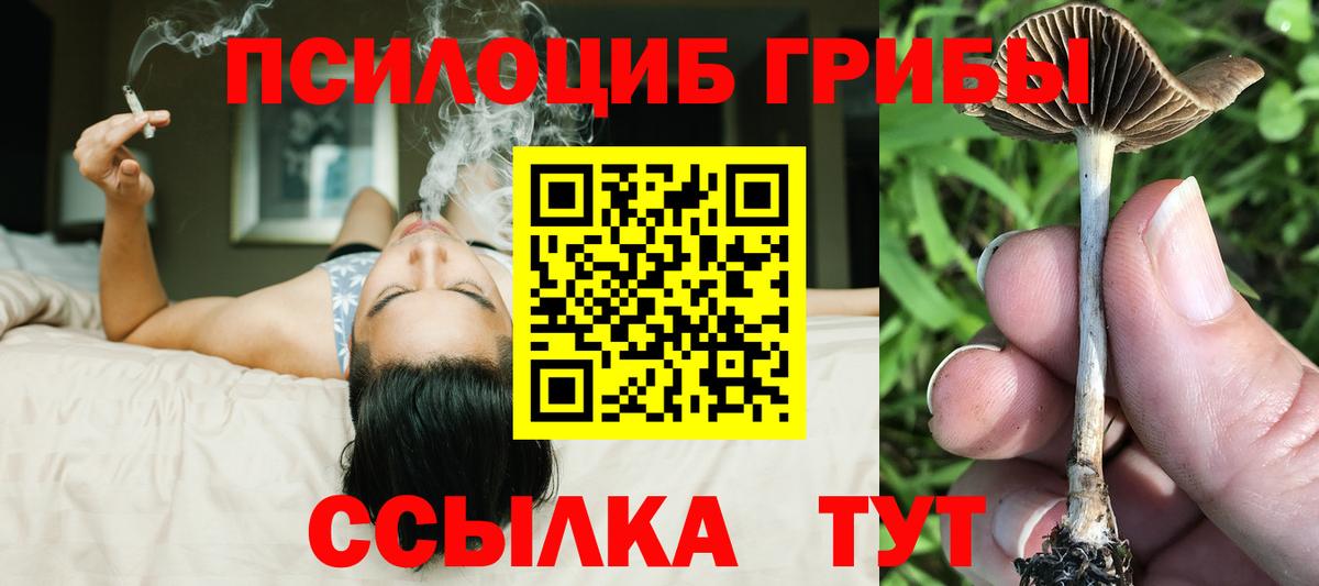 Псилоцибиновые грибы прущие грибы  сколько стоит  Воткинск  Вход с VPN 